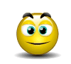 Smiley 3d 356