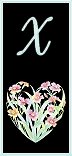 Lettre X