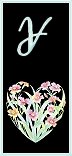 Lettre Y