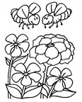 Coloriage Abeilles 6