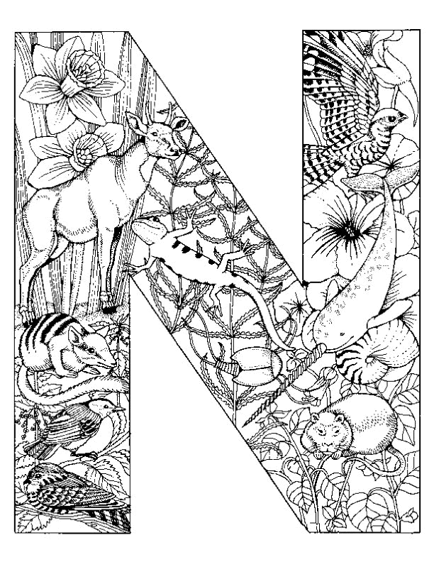 Coloriage 27 Alphabet animaux