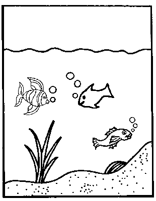 Coloriage 11 Aquarium