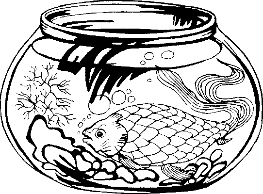 Coloriage 13 Aquarium