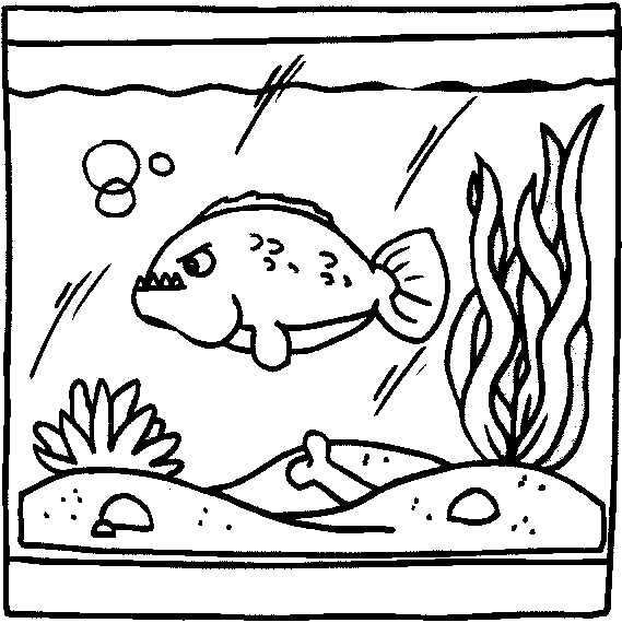 Coloriage 3 Aquarium