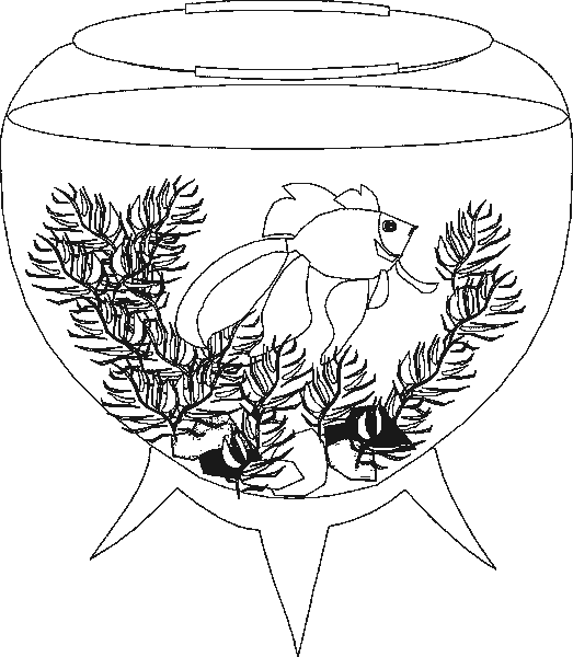 Coloriage 8 Aquarium