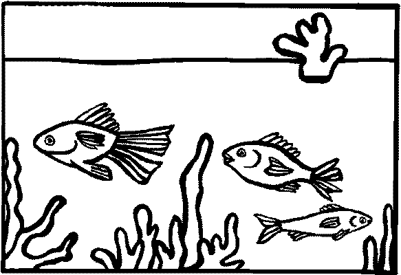 Coloriage 9 Aquarium