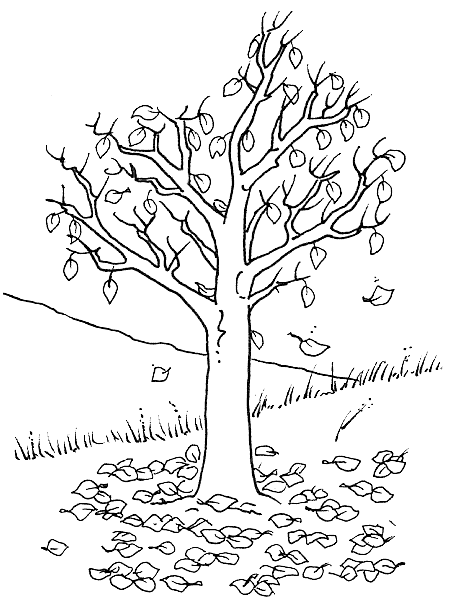 Coloriage 1 Arbres