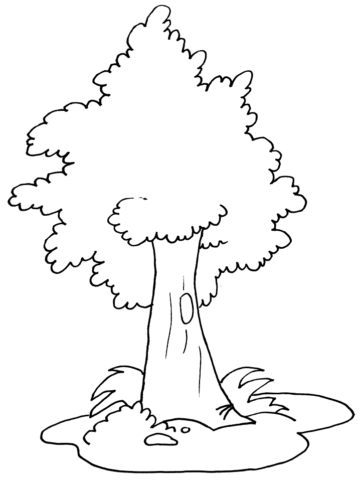 Coloriage 12 Arbres