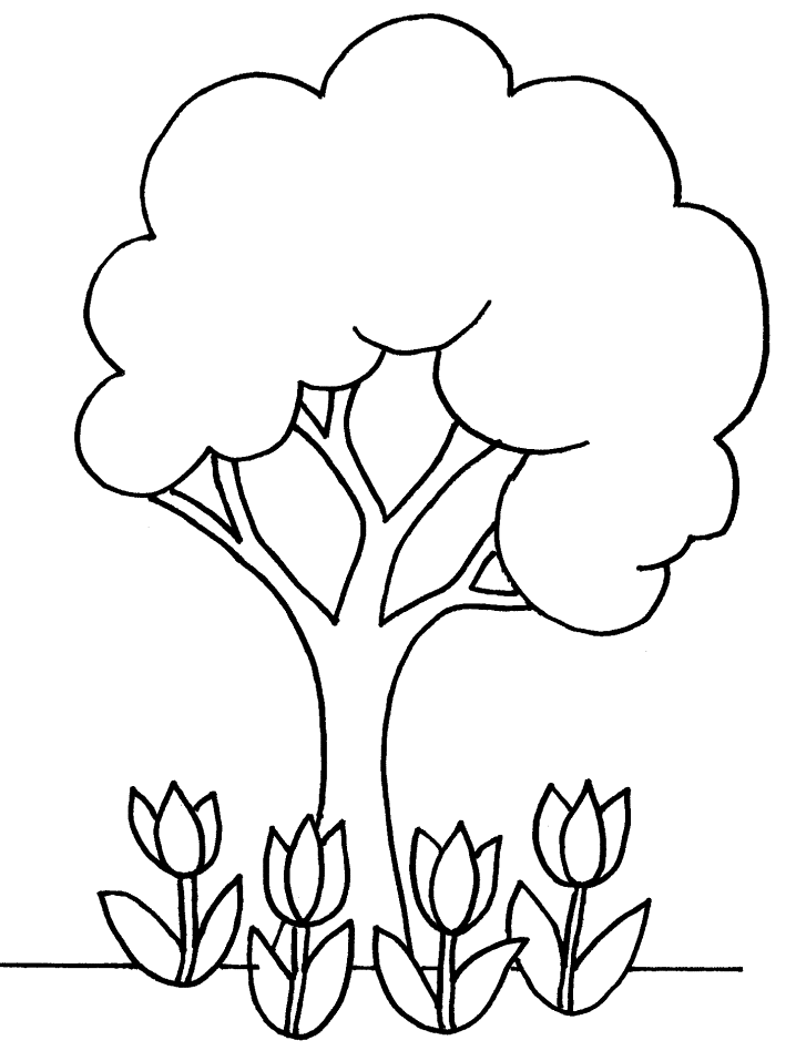 Coloriage 2 Arbres