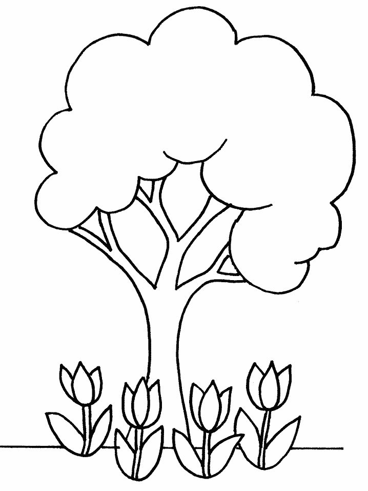 Coloriage 27 Arbres