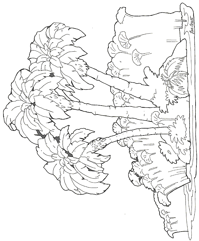 Coloriage 5 Arbres