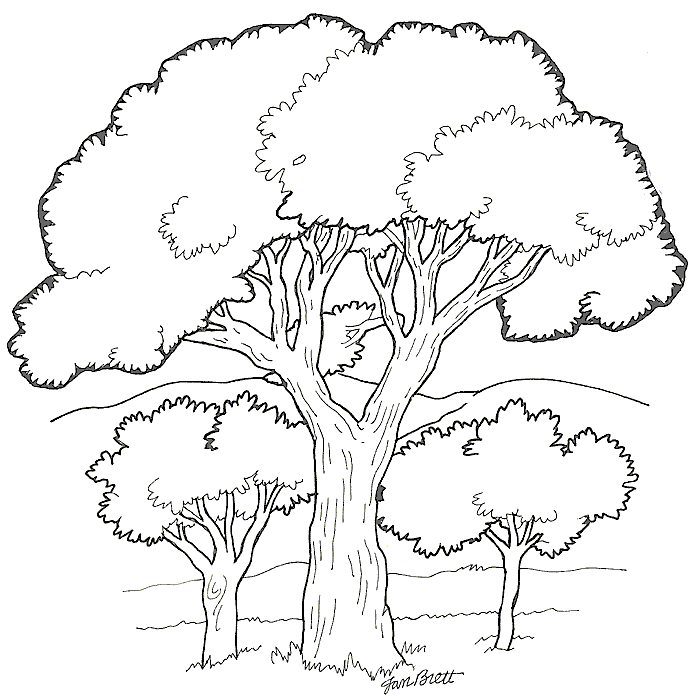 Coloriage 7 Arbres