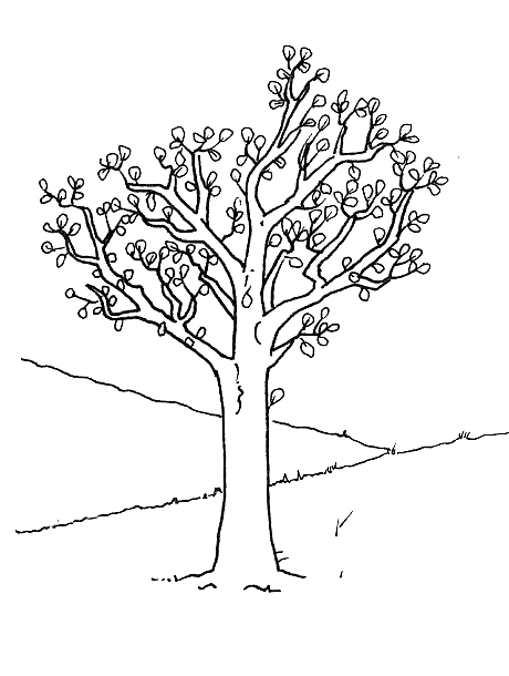 Coloriage 9 Arbres