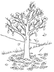 Toutes les catégories de coloriages Arbres