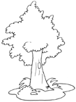 Coloriage Arbres 12