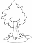 Coloriage Arbres 17