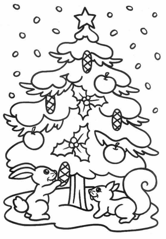 Coloriage 5 Arbres de noel