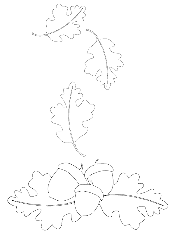 Coloriage 27 Automne