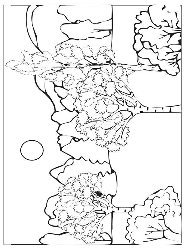 Coloriage 56 Automne