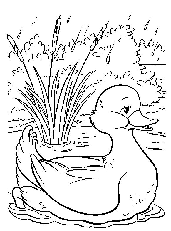 Coloriage 93 Bamby