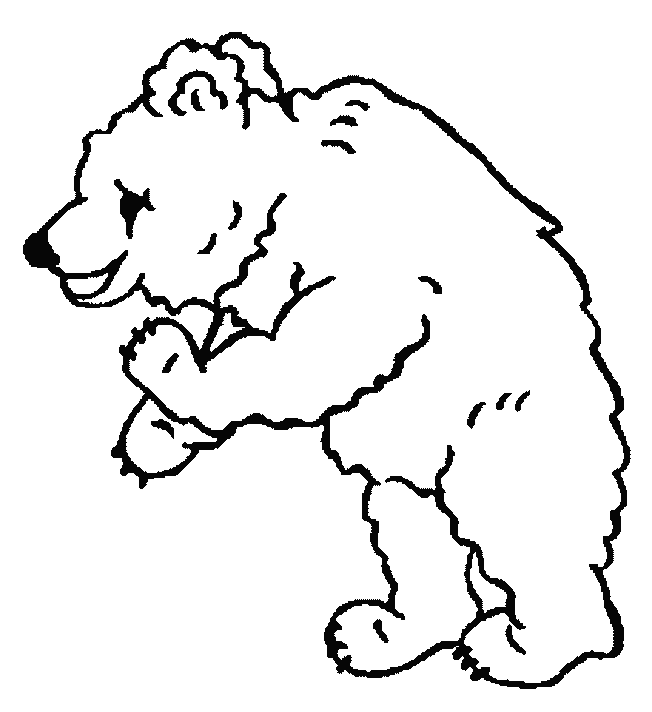 Coloriage 101 Bears