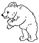 Coloriage Bears 101