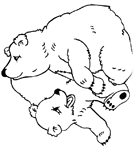 Coloriage Bears 93