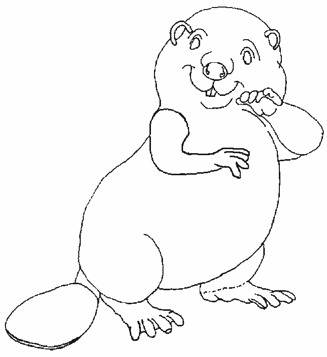 Coloriage 11 Beavers