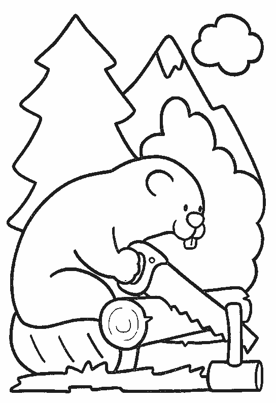 Coloriage 14 Beavers