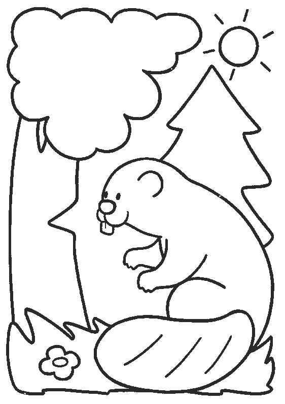 Coloriage 15 Beavers