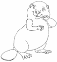 Coloriage Beavers 11