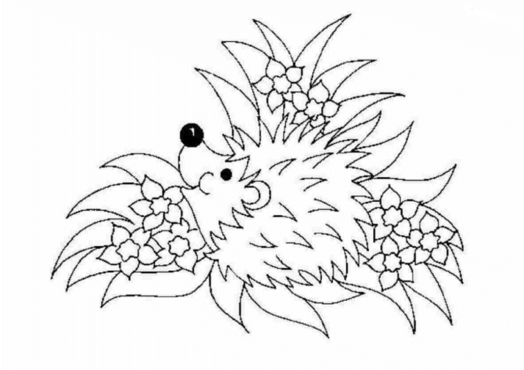 Coloriage 31 Boucle