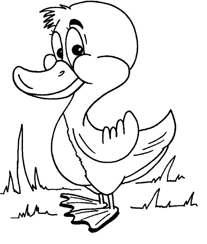 Coloriage 5 Canards