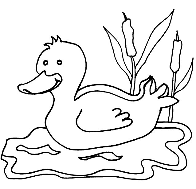 Coloriage 6 Canards