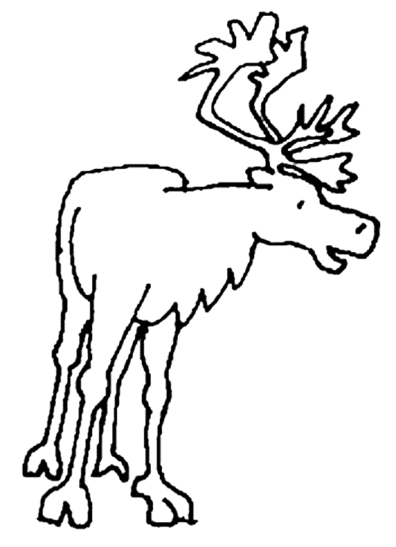 Coloriage 1 Caribou