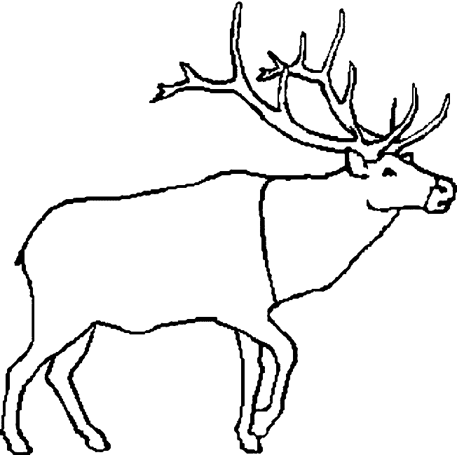 Coloriage 4 Caribou