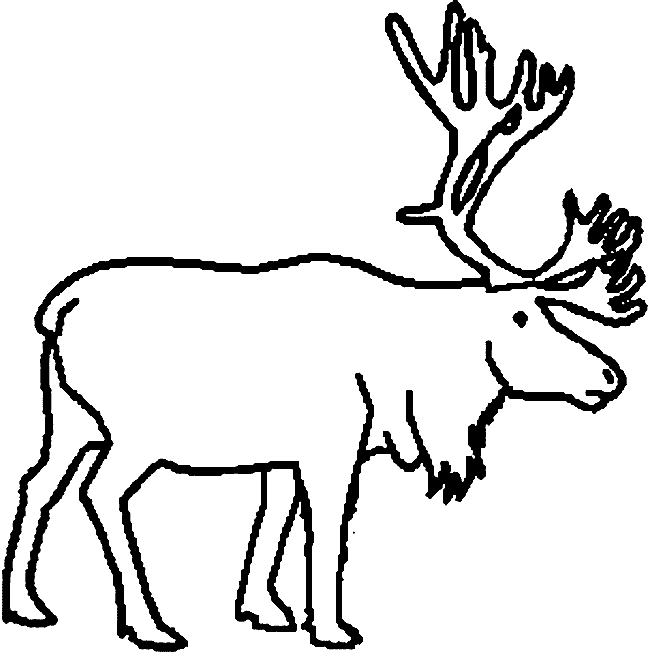 Coloriage 6 Caribou