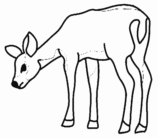 Coloriage 1 Cerfs