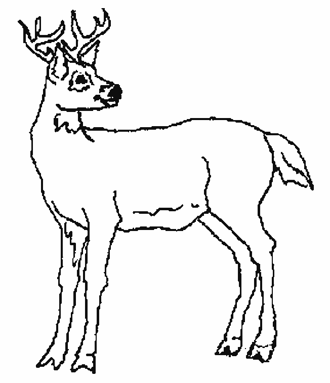 Coloriage 10 Cerfs