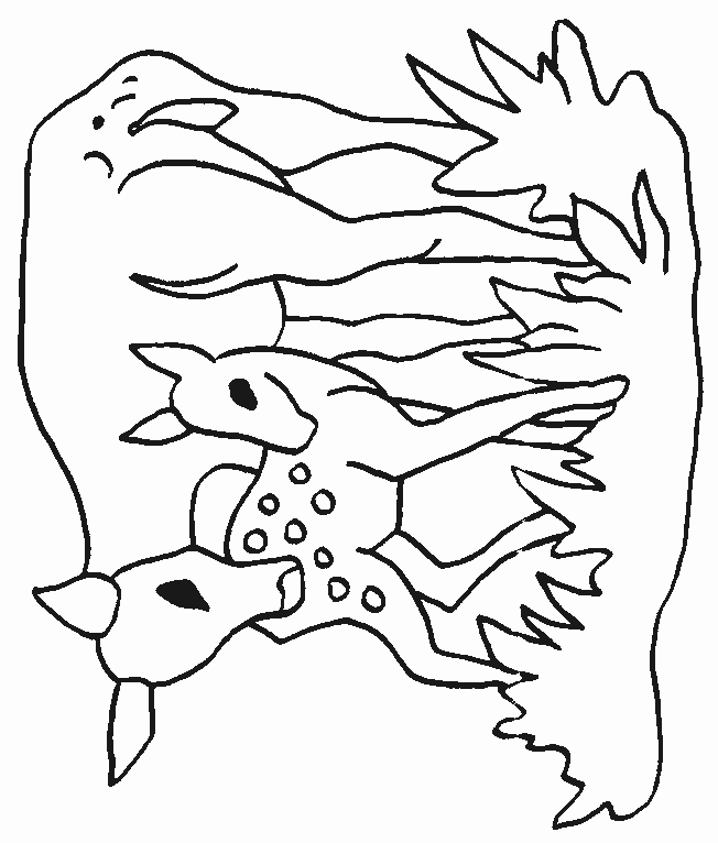 Coloriage 4 Cerfs