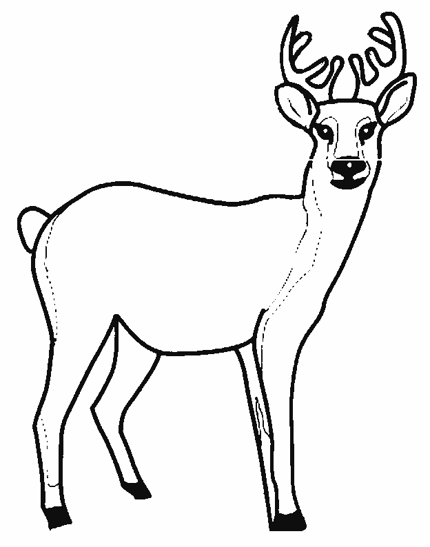 Coloriage 5 Cerfs