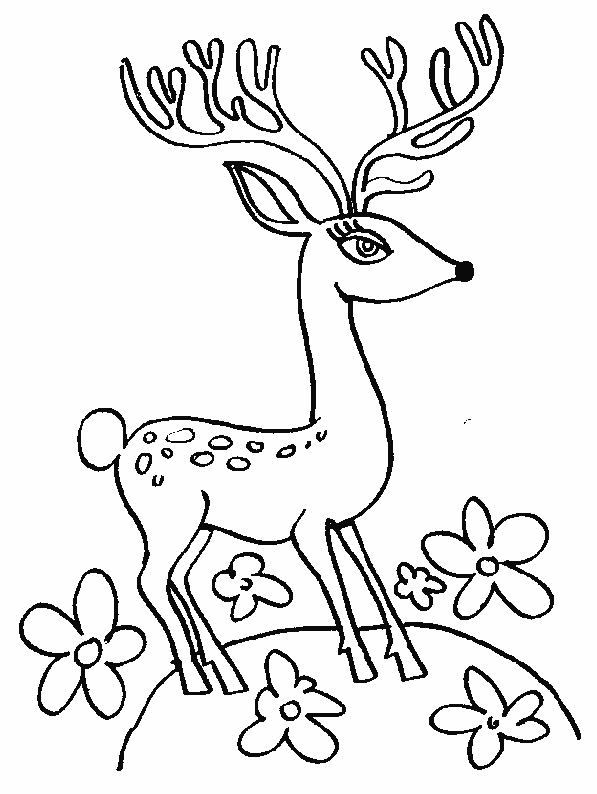 Coloriage 6 Cerfs