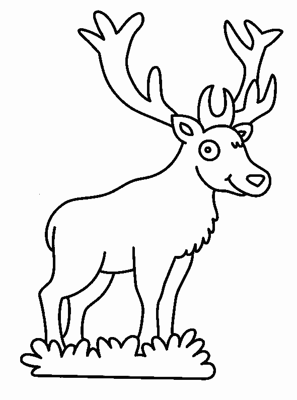 Coloriage 8 Cerfs