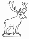 Coloriage Cerfs 8