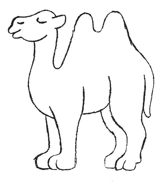 Coloriage 10 Chameaux