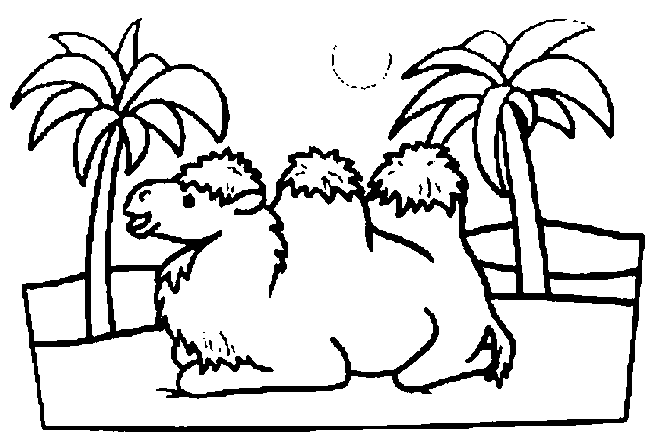 Coloriage 7 Chameaux