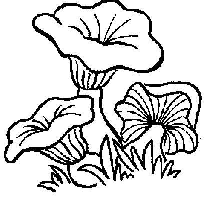 Coloriage 1 Champignons