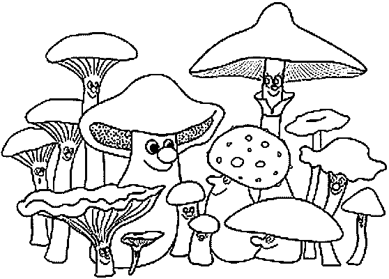 Coloriage 11 Champignons