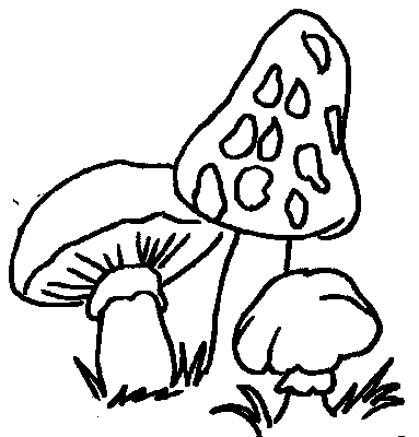 Coloriage 17 Champignons