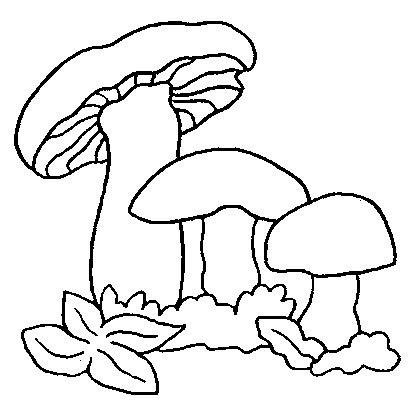 Coloriage 19 Champignons